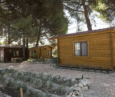 Morkoyun Kamp