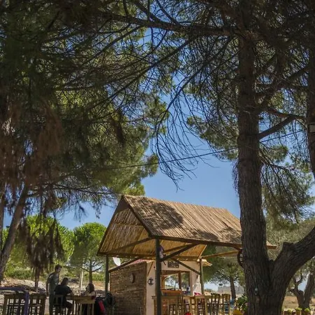 אתר קמפינג Morkoyun Kamp