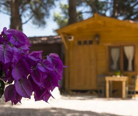 Morkoyun Kamp Camping *