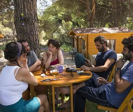 אתר קמפינג Morkoyun Kamp *