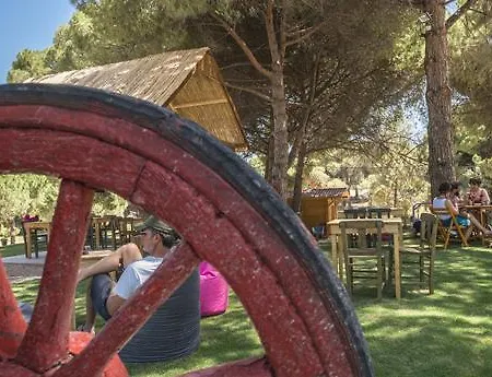 Morkoyun Kamp אתר קמפינג